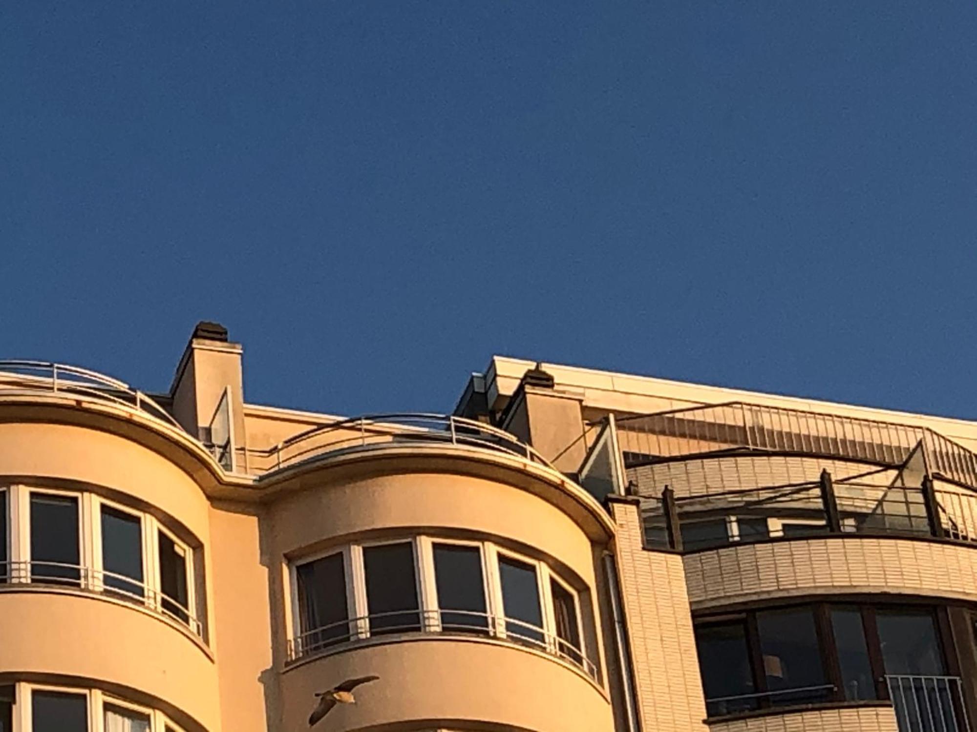 El Mirador Penthouse Paris Apartment Oostende Exterior foto